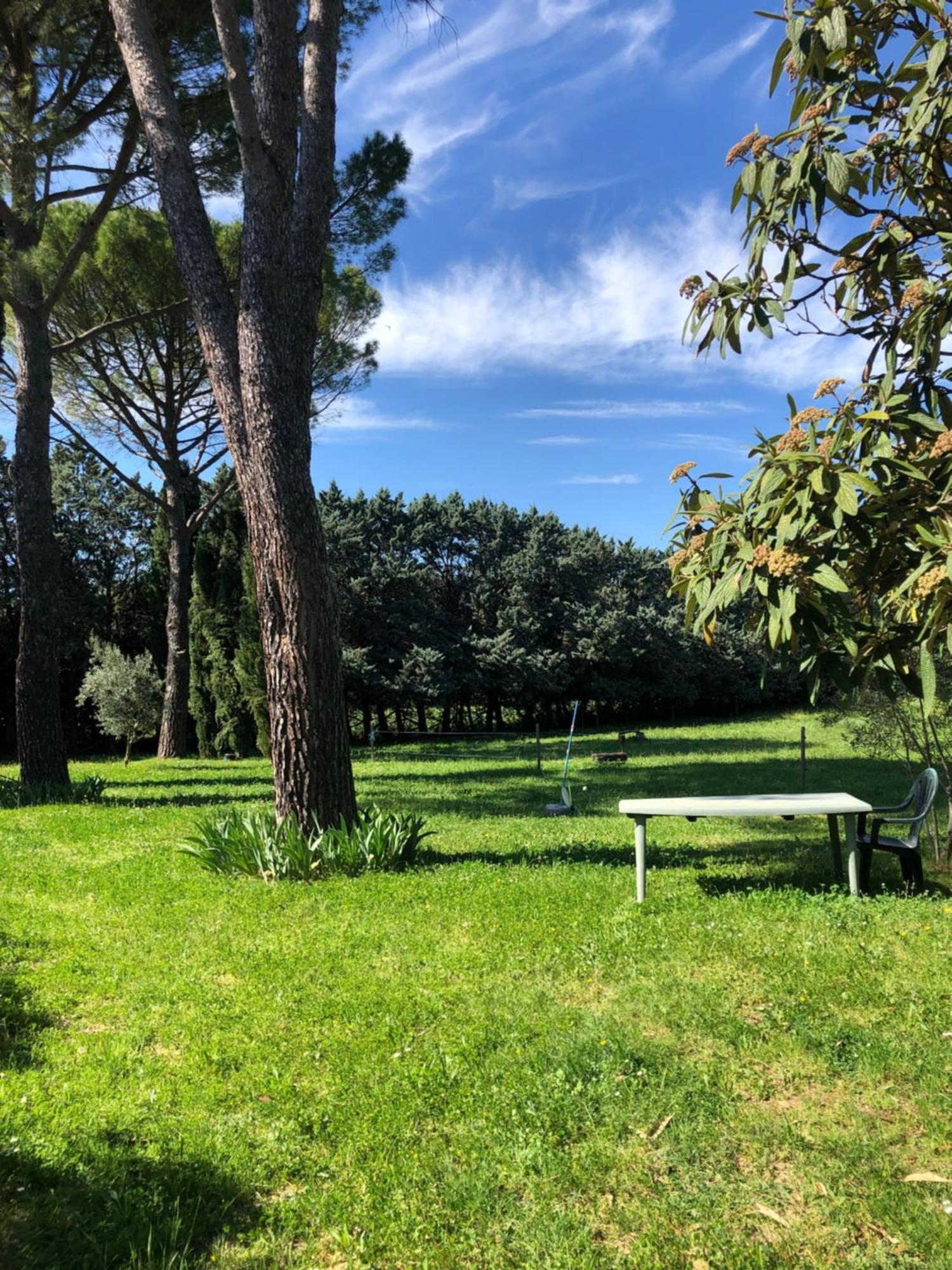 Gite Des Pins Saint-Maurice-dʼIbie Dış mekan fotoğraf