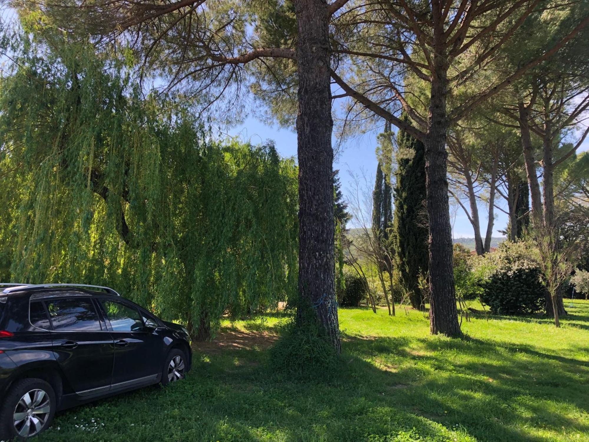 Gite Des Pins Saint-Maurice-dʼIbie Dış mekan fotoğraf