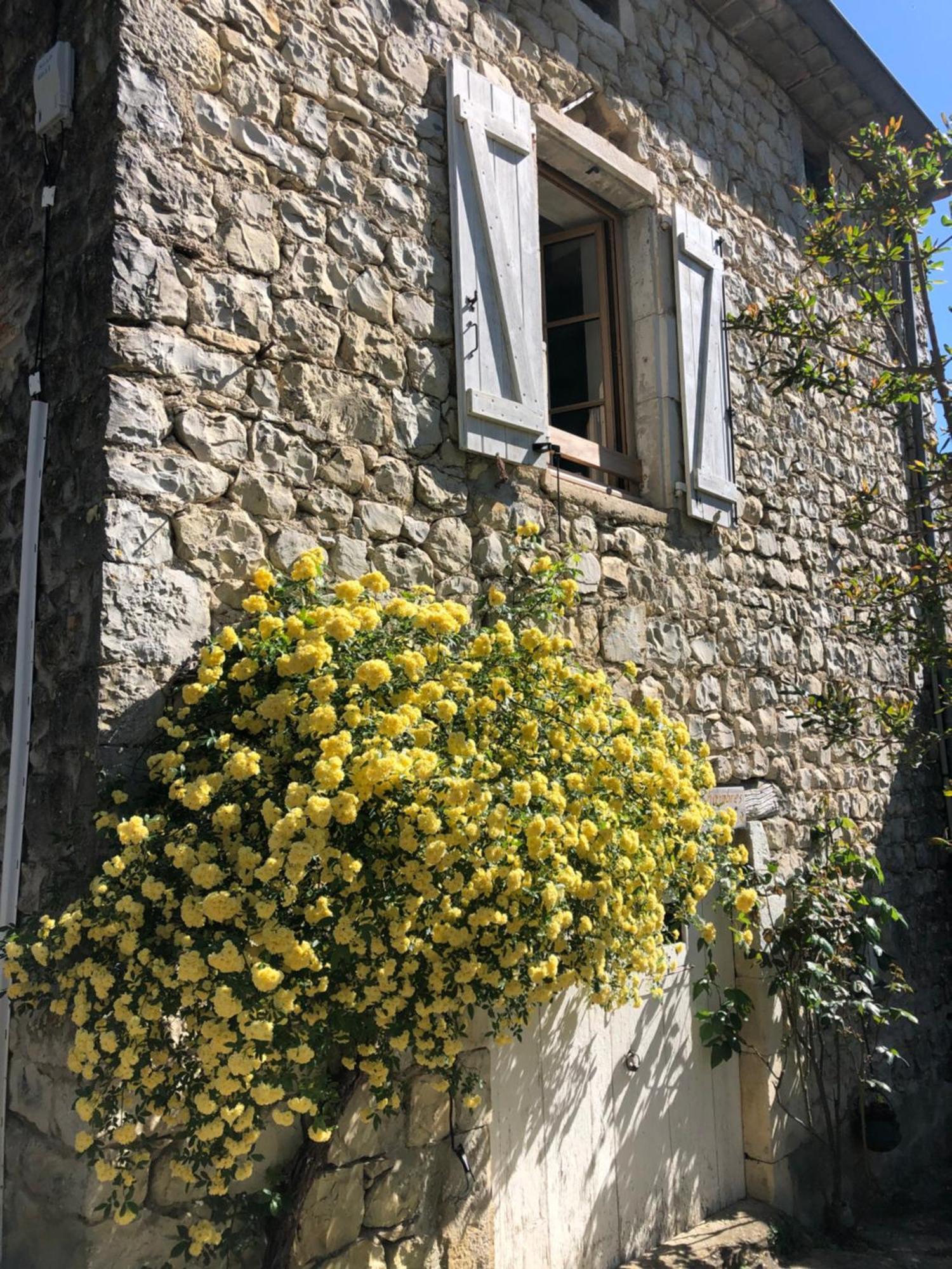 Gite Des Pins Saint-Maurice-dʼIbie Dış mekan fotoğraf